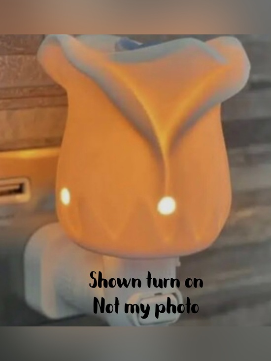 Scentsy Other - Brand New in Box - Scentsy’s Mini Size Tea Rose Scent Warmer